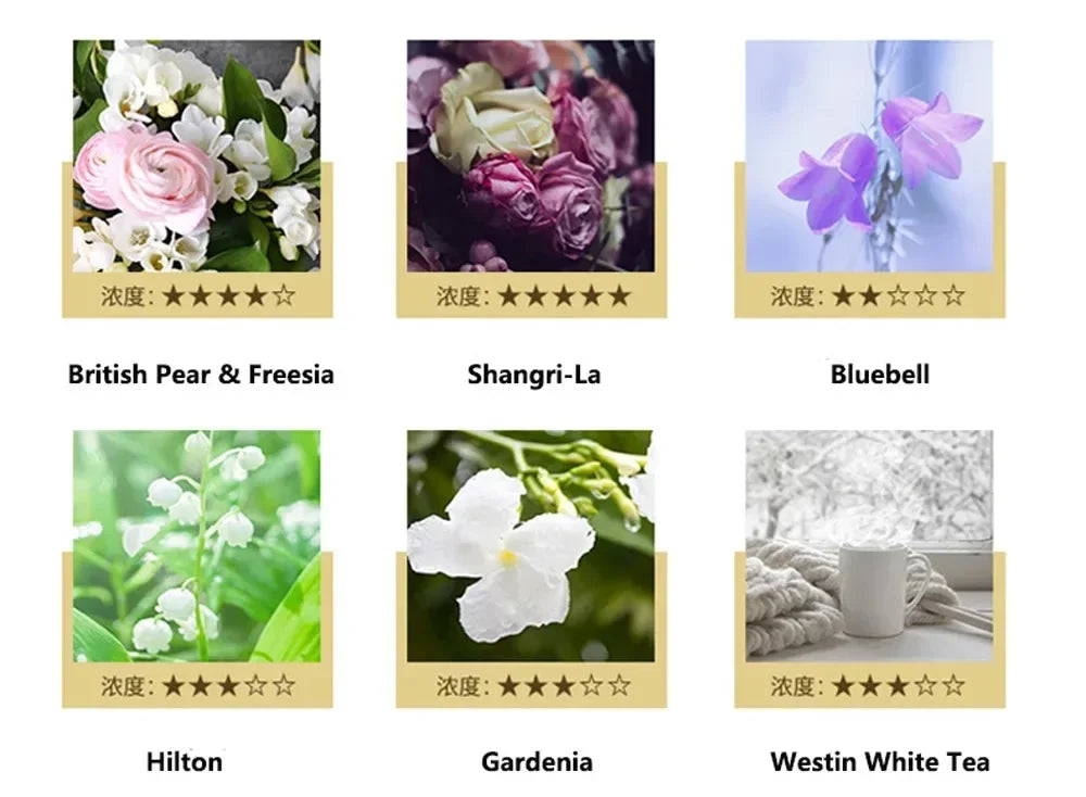 Aromatherapy Essential Oil Diffuser Waterless