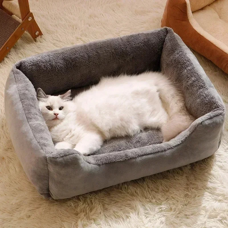Cats Bed Dog