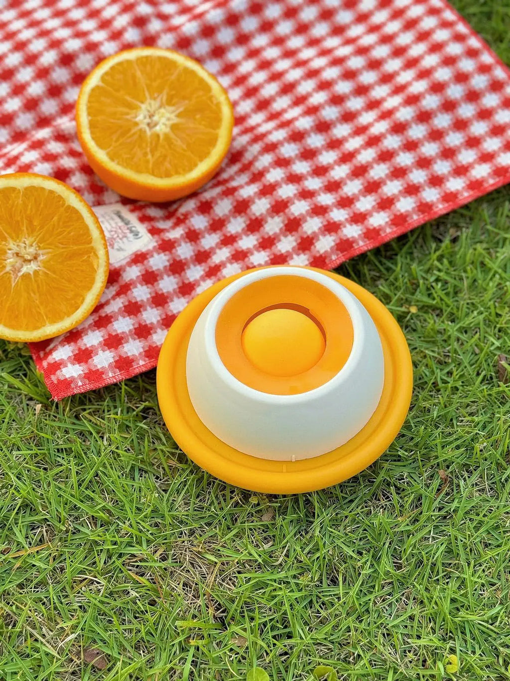 Dog Stimulation slow feeder