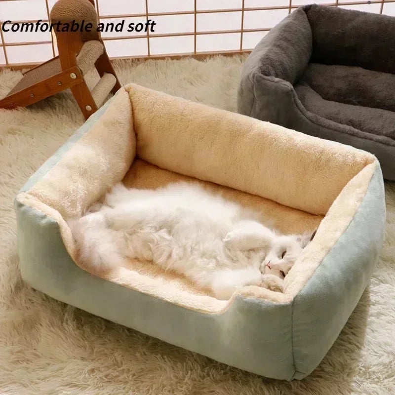 Cats Bed Dog