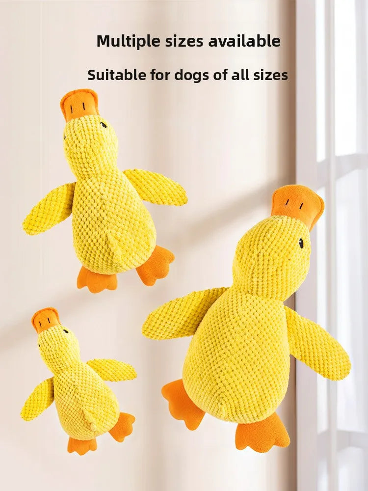 1/3PCS Things For Dogs