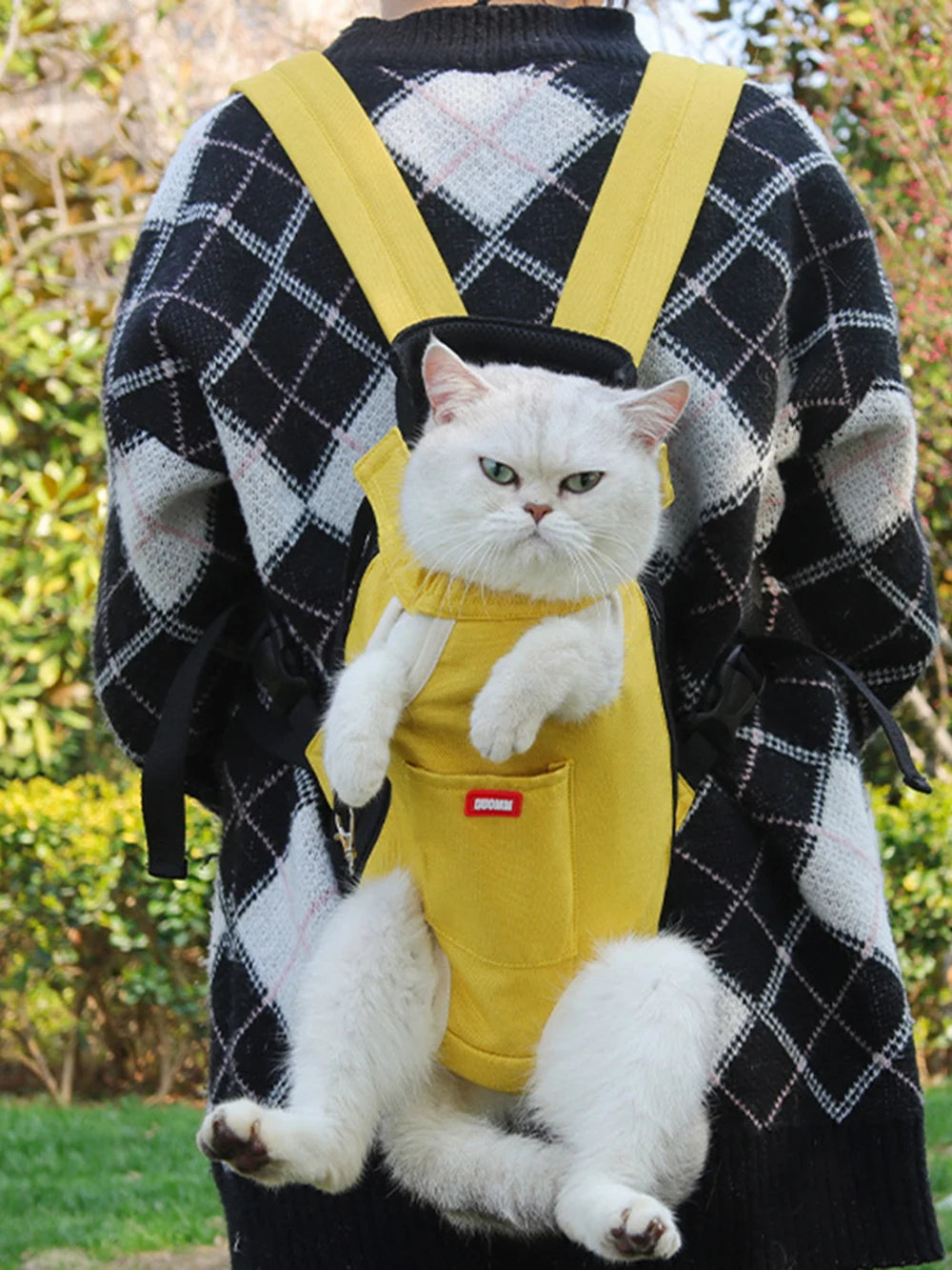 Fashion Cat Dog Backpacks