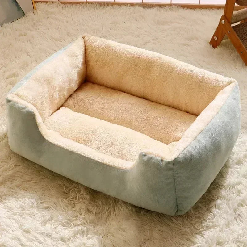 Cats Bed Dog