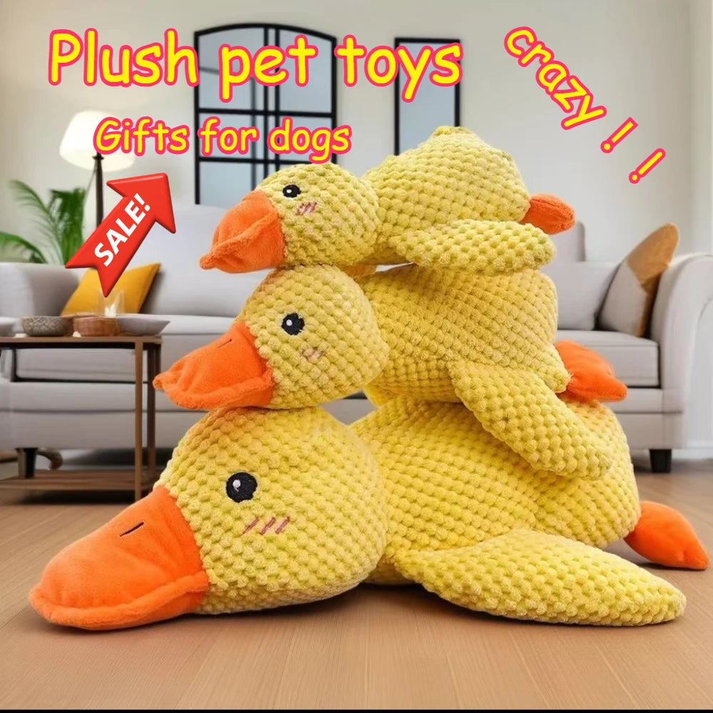 1/3PCS Things For Dogs