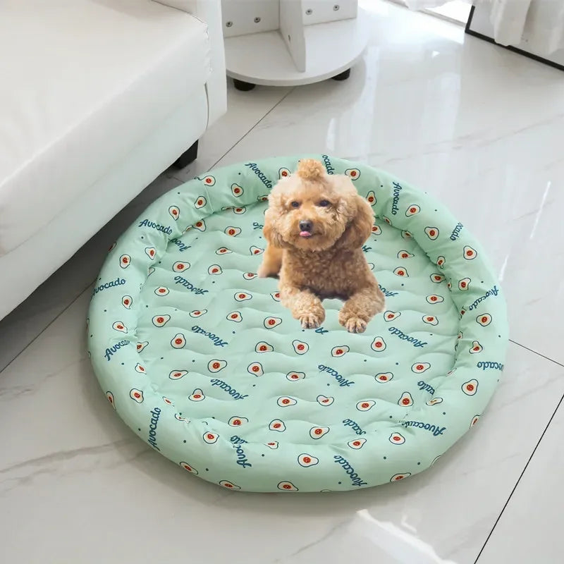 All Season Portable Pet Accessories, Dog Bed