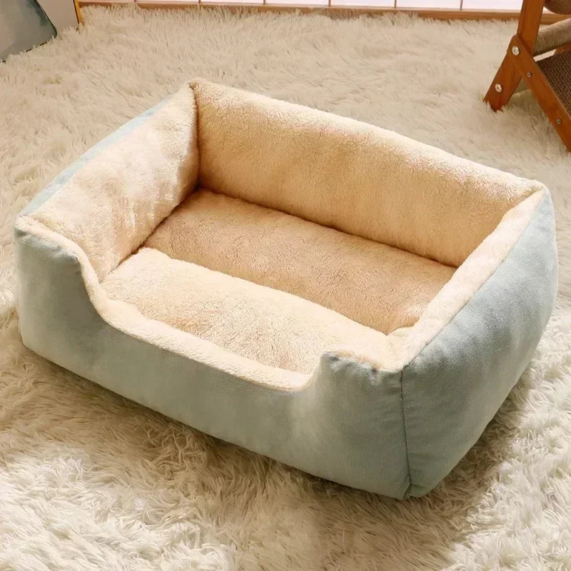 Cats Bed Dog