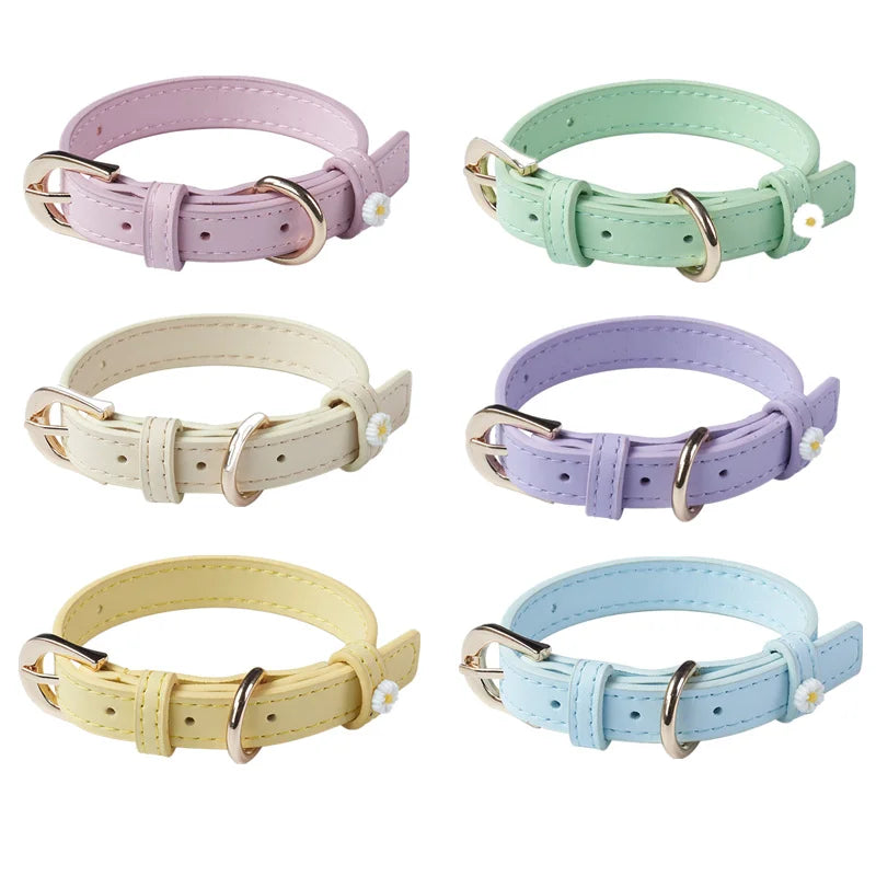 Cute Dog Accessories