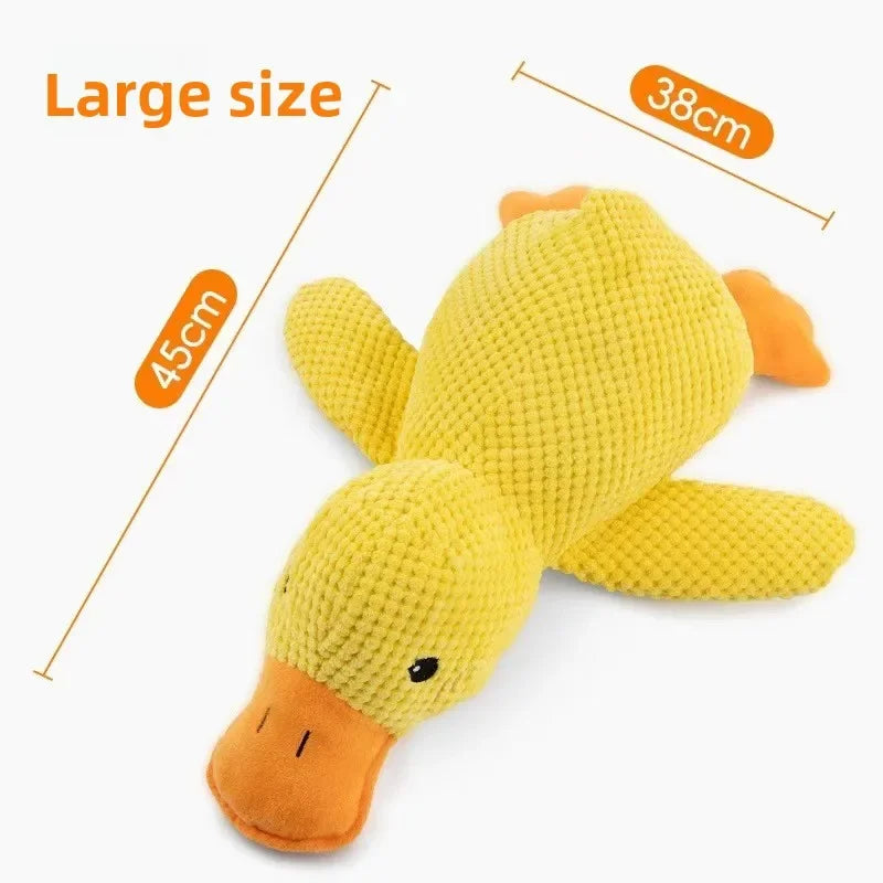 1/3PCS Things For Dogs