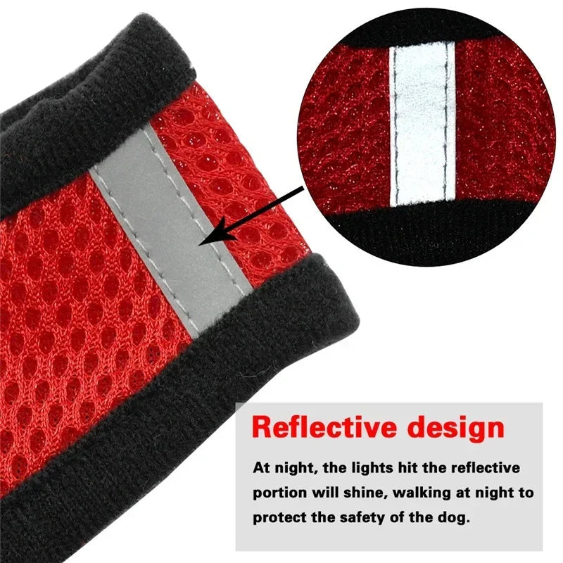 Cat Harness Vest