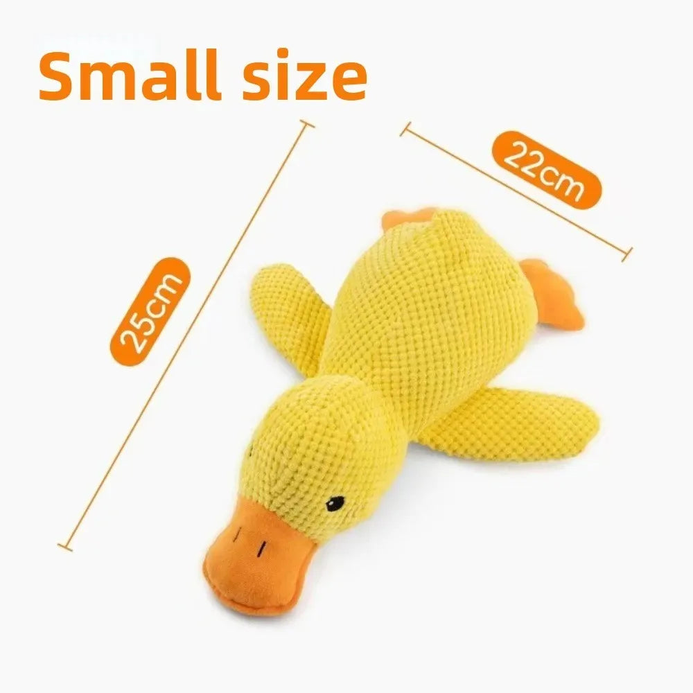 1/3PCS Things For Dogs