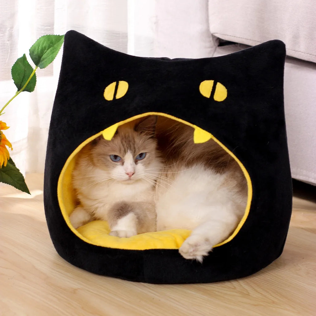Cats Bed Halloween scarry cat