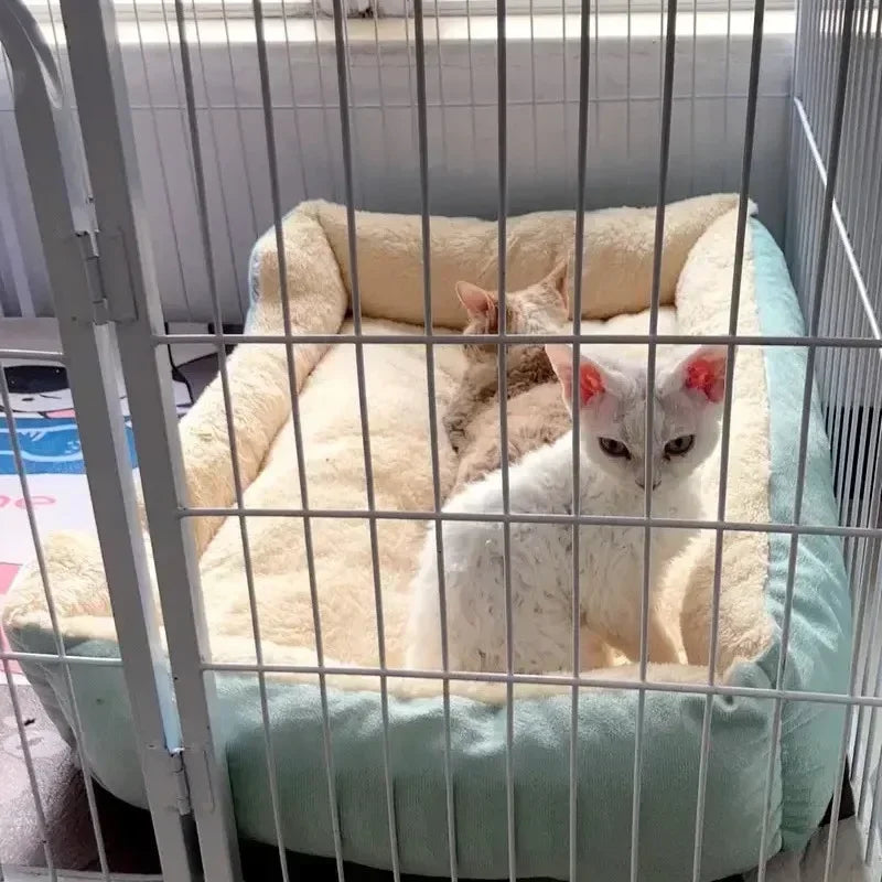 Cats Bed Dog
