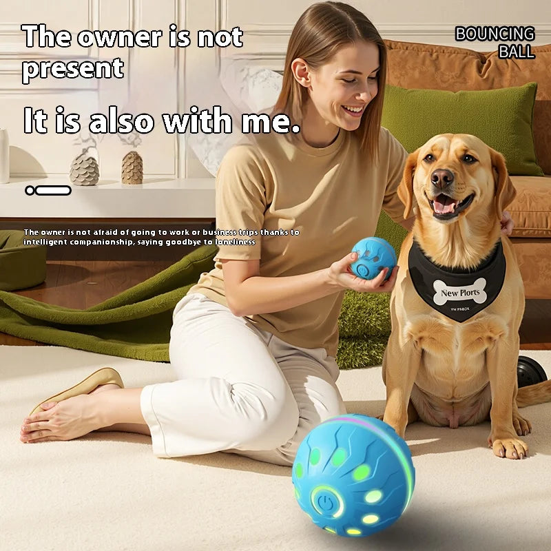Automatic rolling ball dog and cat toys