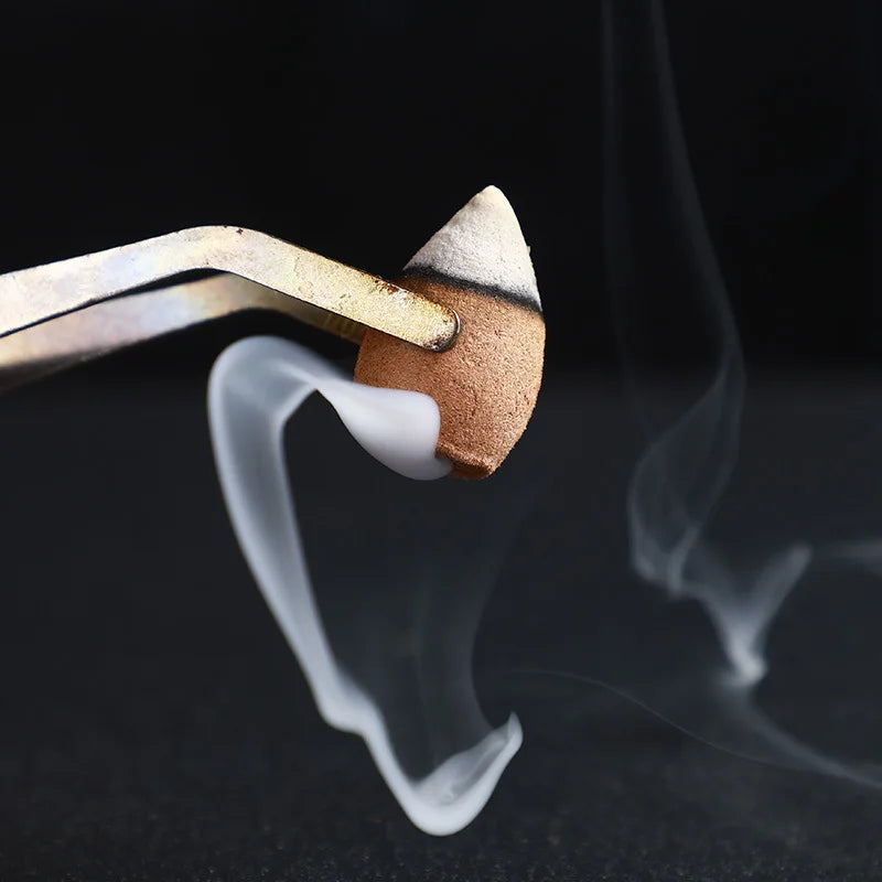 Mixed Flavor Backflow Incense Cones