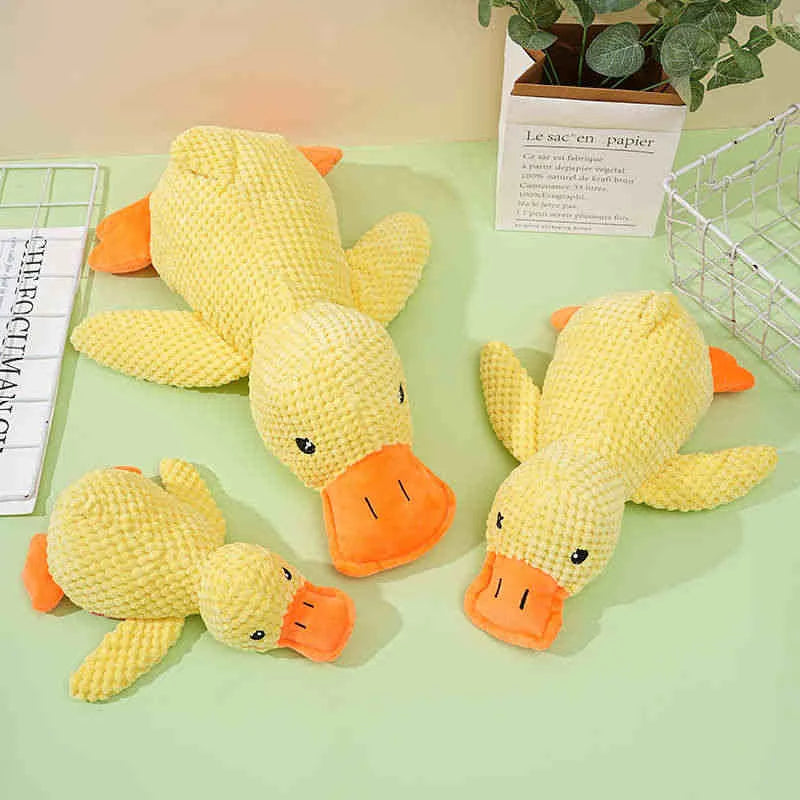 1/3PCS Things For Dogs