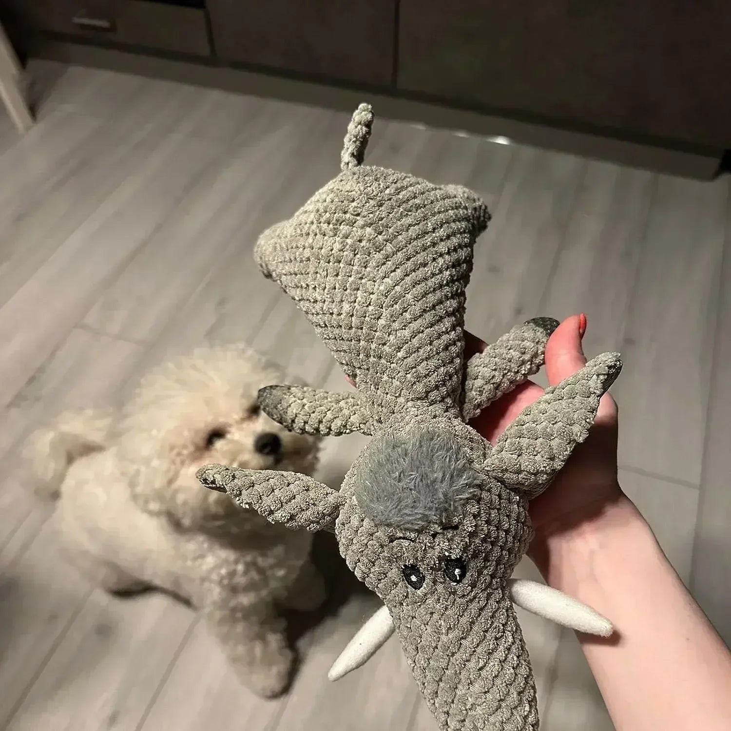Pet Dog Toys for Large Dogs