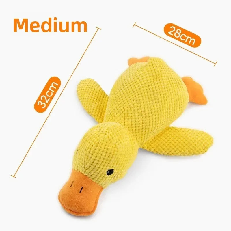 1/3PCS Things For Dogs