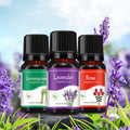 Aromatherapy Essential Oils Water Soluble Oil Diffuser