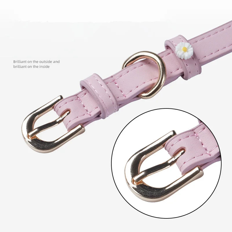 Cute Dog Accessories