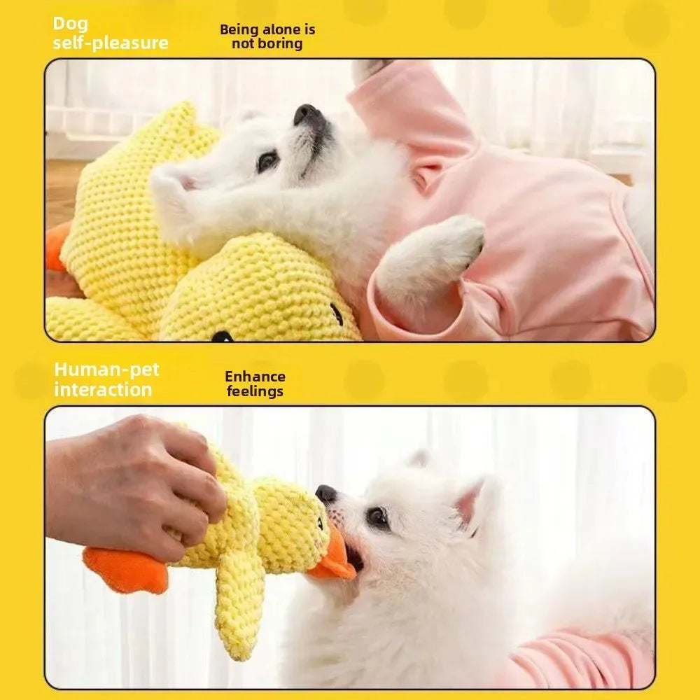 1/3PCS Things For Dogs