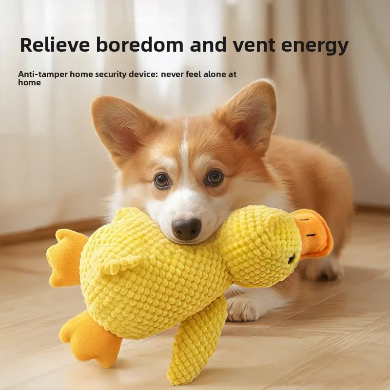 1/3PCS Things For Dogs
