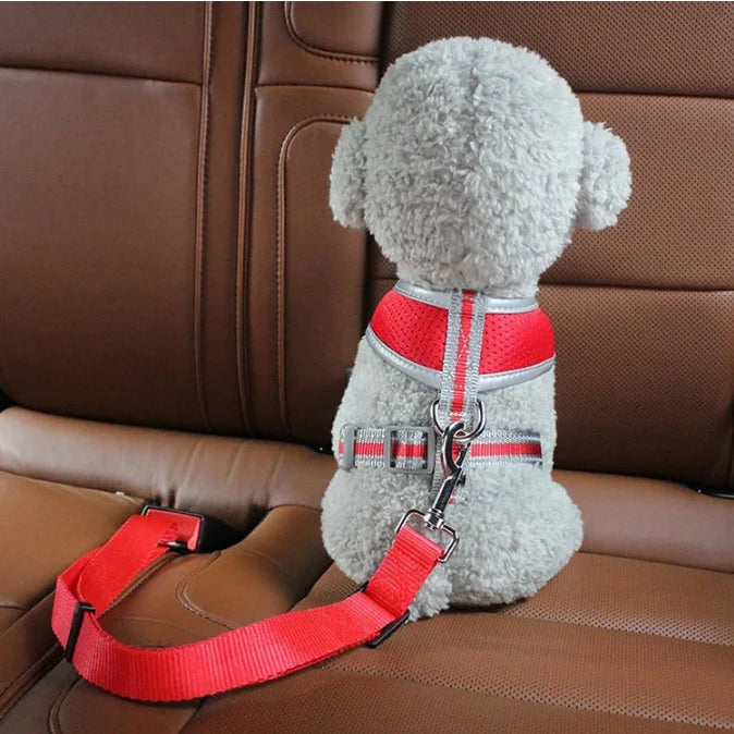 Cat/Dog Car Seat Belt
