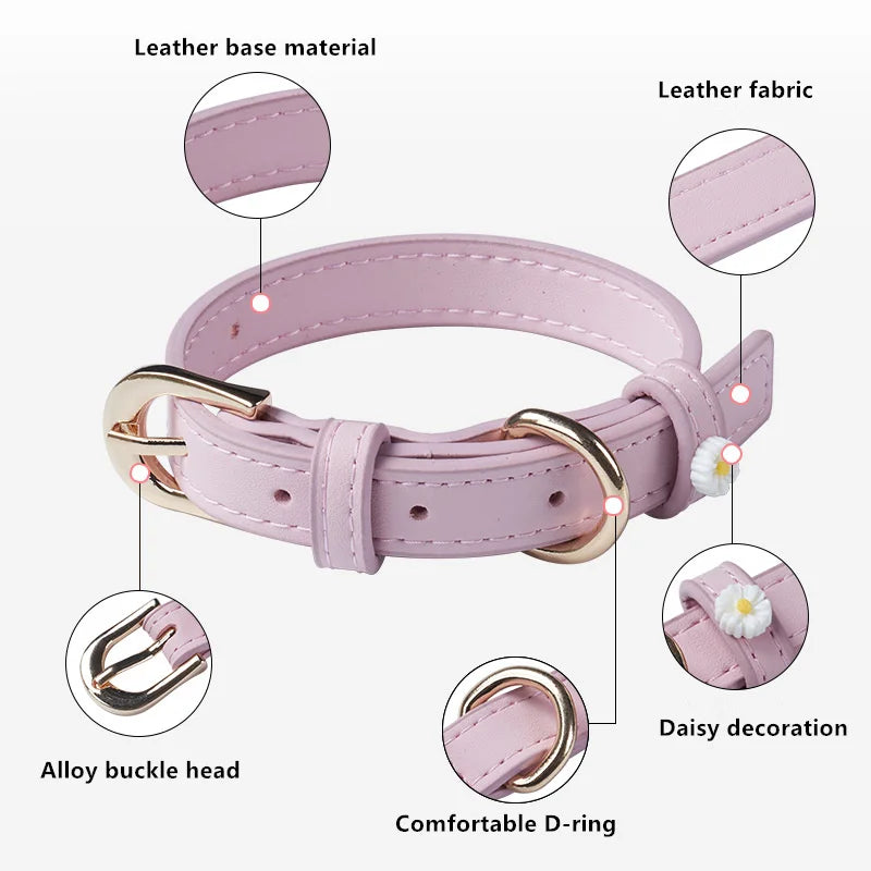Cute Dog Accessories