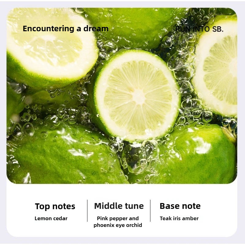 Intelligent App Aromatherapy Machine Humidifier