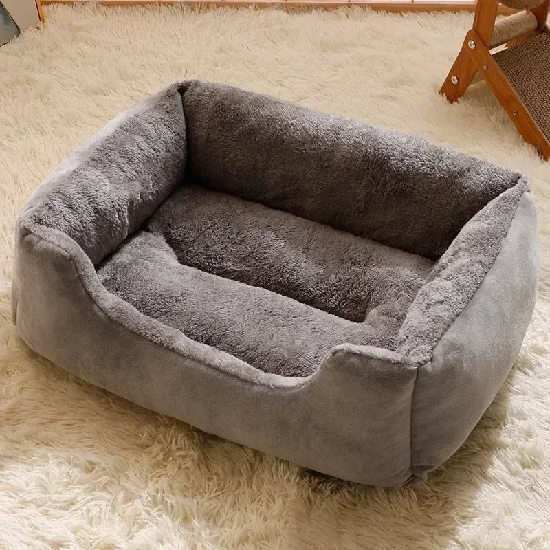 Cats Bed Dog