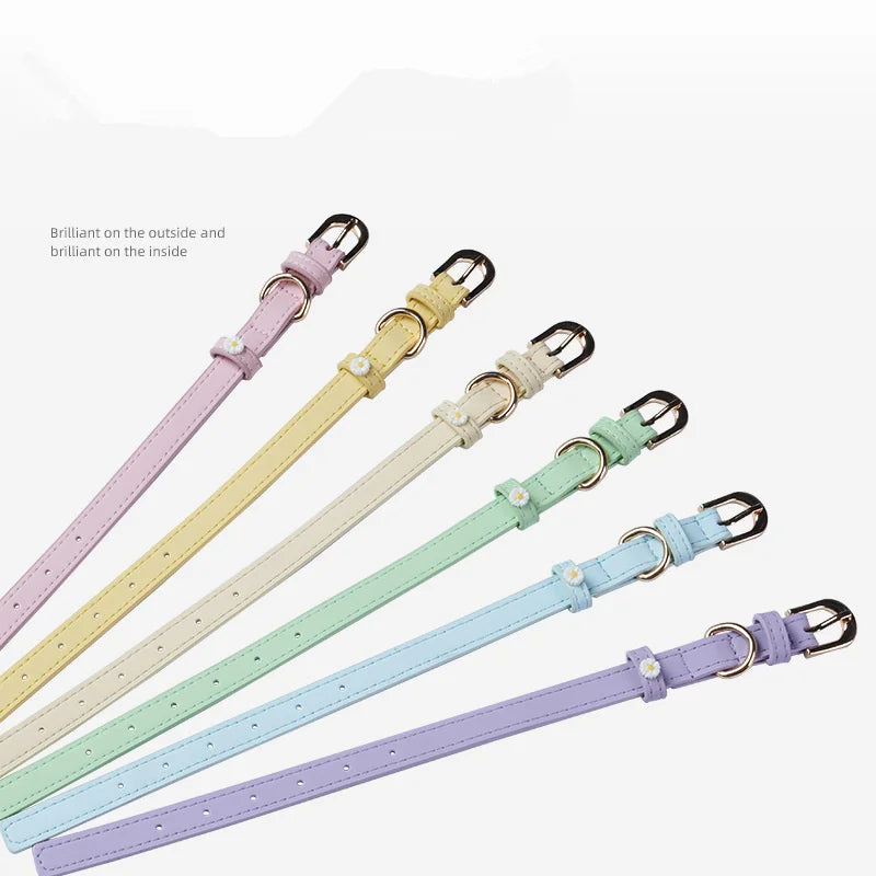 Cute Dog Accessories