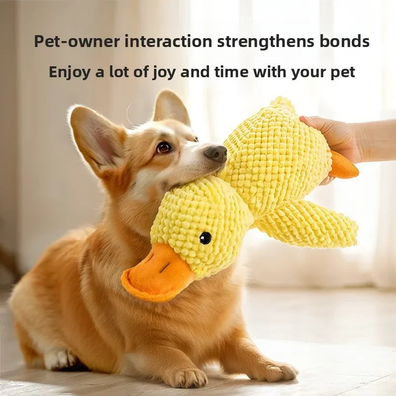1/3PCS Things For Dogs