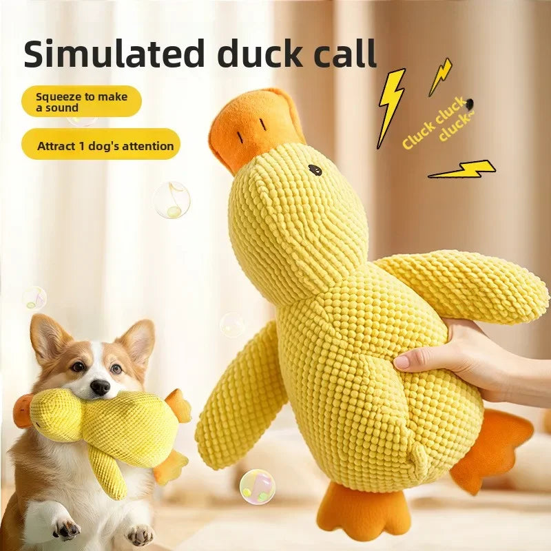1/3PCS Things For Dogs