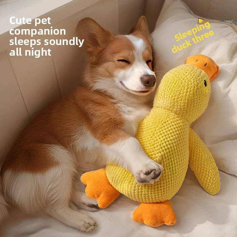1/3PCS Things For Dogs