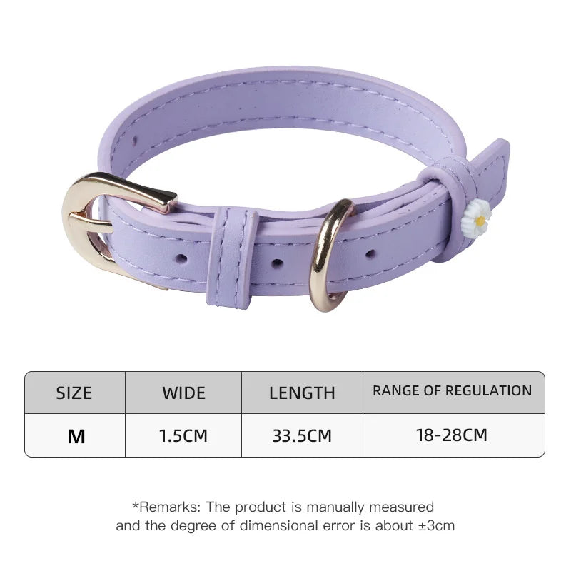 Cute Dog Accessories