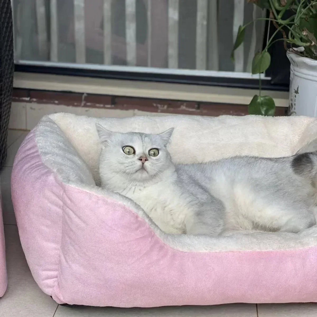 Cats Bed Dog