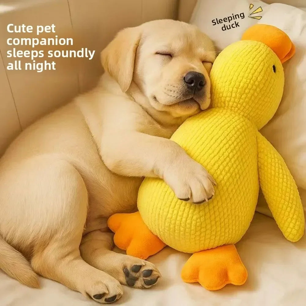 1/3PCS Things For Dogs