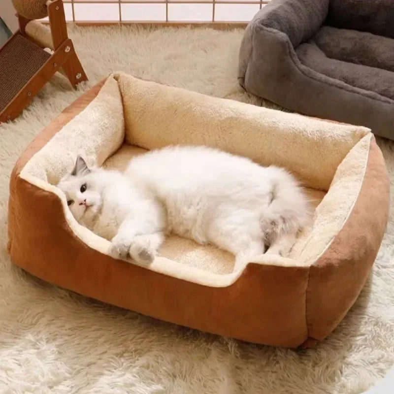 Cats Bed Dog