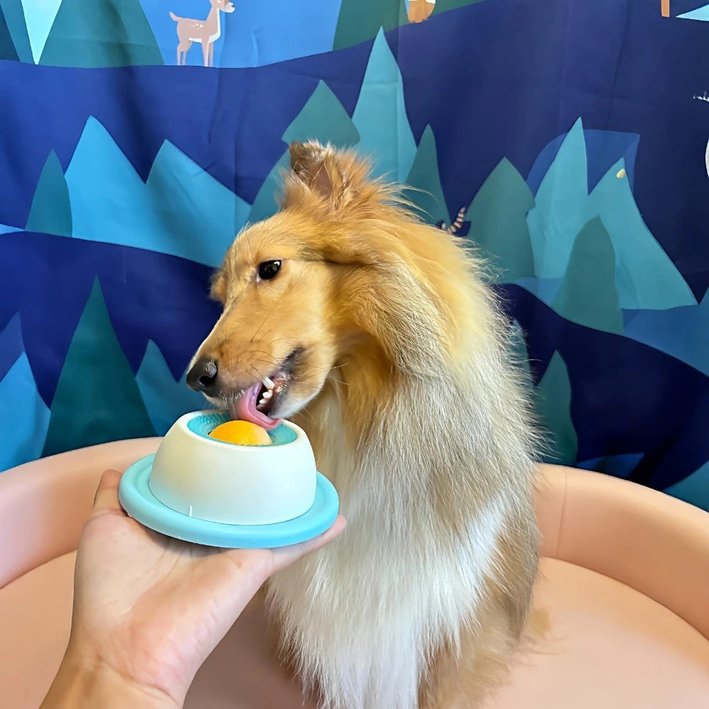 Dog Stimulation slow feeder