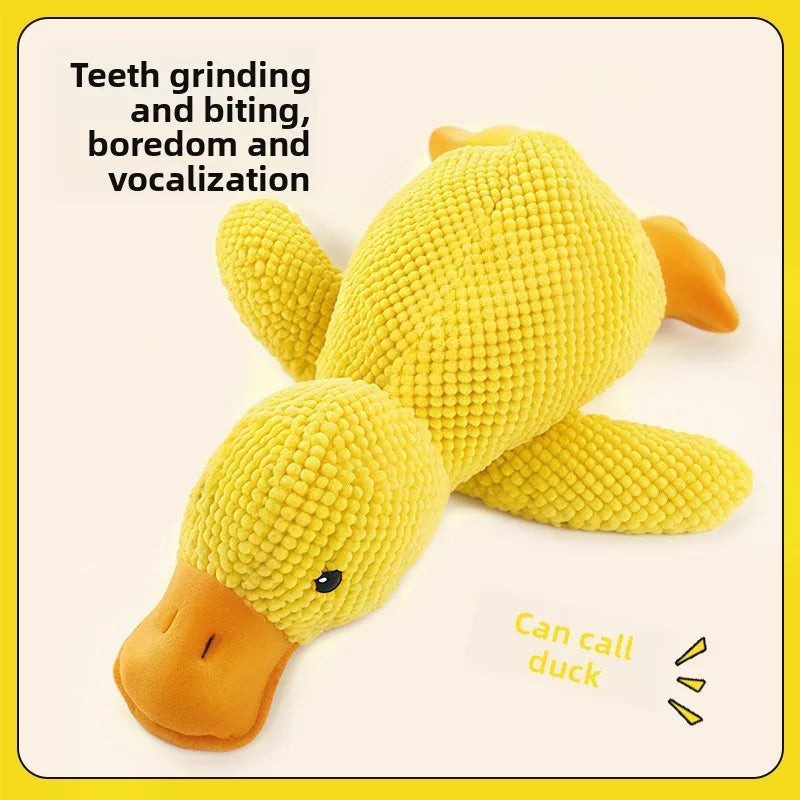 1/3PCS Things For Dogs