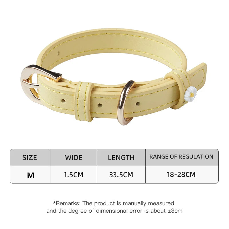 Cute Dog Accessories