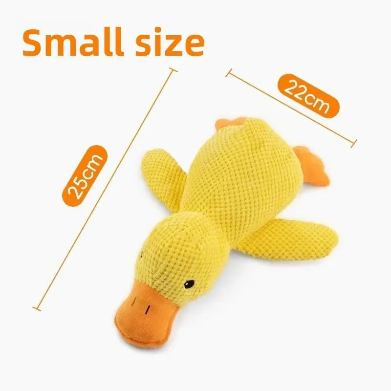 1/3PCS Things For Dogs